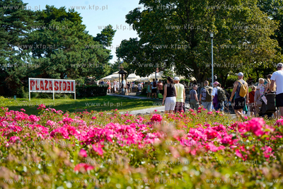 Wakacje w Gdańsku. Plaża na Stogach. 03.08.2024 fot....