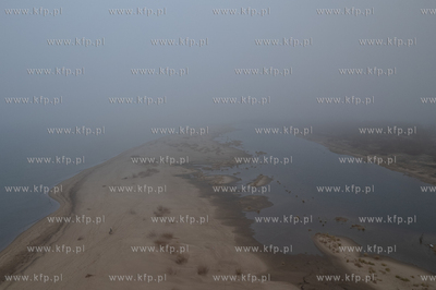 Wyspa Sobieszewska. Rezerwat Mewia Łacha. 19.01.2025...