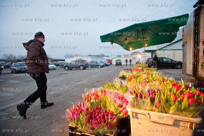 Gdansk. Giełda kwiatowa Dick Inter.
08.03.2013
fot....