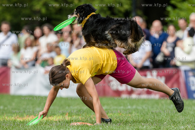 Sopot. Łazienki Połnocne. Zawody Latających Psów.
Nz...