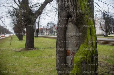 Gdańsk. Znajdująca się w ciągu Alei Zwyciestwa,...