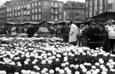 Sprzedaz chryzantem przed dniem Wszystkich Swietych...