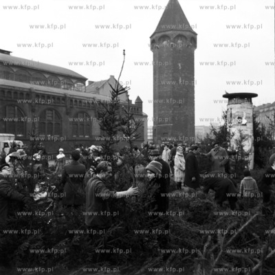 Sprzedaż choinkek przed Halą Targową w Gdańsku.
12.1970
0005126z_grudzien70
Fot....