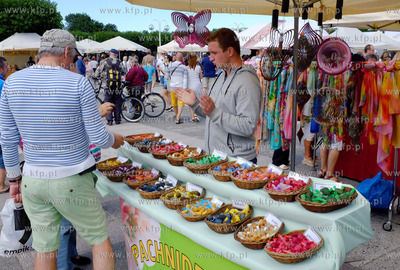 Sopot. Skwer Kuracyjny. Cepeliada. 19.07.2016 fot....