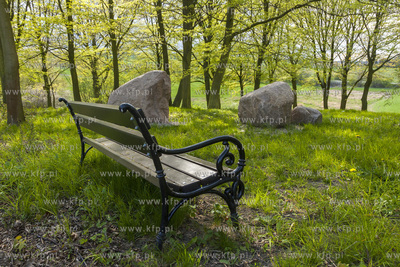 Podworski park w Arciszewie w Gminie Pruszcz Gdański....