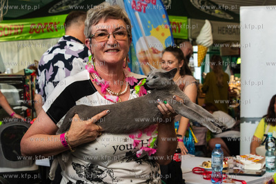 Międzynarodowa wystawa kotów rasowych "Koty na Hawajach"...