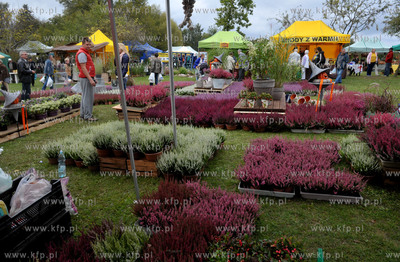 Targi Dary Ziemi w Gdyni Kolibkach. 26.09.2014 Fot....