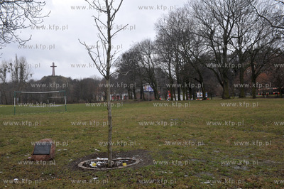 Gaj Ojców w Gdańsku na skwerze między Błędnikiem,...