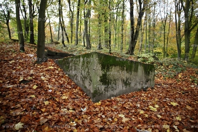 Pozostalosci cmentarza zydowskiego na  Krolewskim Wzgorzu...
