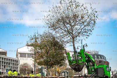 Rewitalizacja Placu Przyjacół Sopotu. Sadzenie drzew.
21.11.2022
fot....