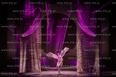 Opera Bałtycka.Balet Karnawał Zwierząt w choreografii...