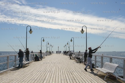 Gdynia Orłowo. Połów ryby belona. 22.05.2020 / fot....