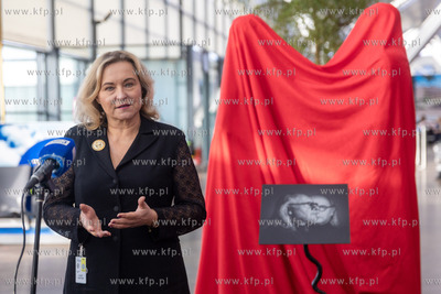Port Lotniczy Gdańsk im. Lecha Wałęsy. Terminal...