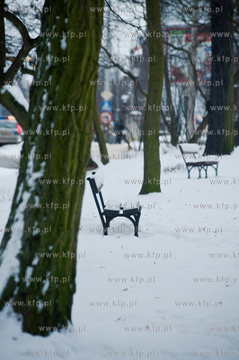 Gdansk. Skwer im. Czeslawa Niemena.
17.01.2013
fot....