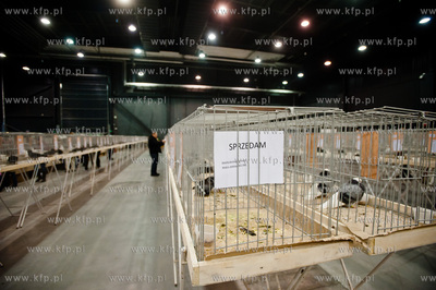 Gdansk. Gdansk. Amber Expo. 8. Miedzynarodowe Targi...