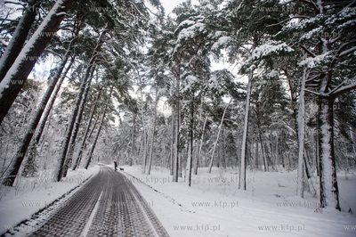 Ggansk. Gorki Zachodnie. Osniezony zimowy krajobraz...