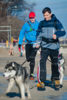 Gdynia. Polanka Redlowska. Pomorski Puchar Dogtrekkingu.
08.02.2014
fot....