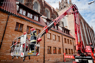 Gdansk. Akcja ratunkowa kaczki krzyzowki oraz jej nowo...