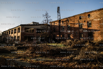 Gdansk. Tereny bylej Stoczni Gdansk. Wyburzenie budynku...