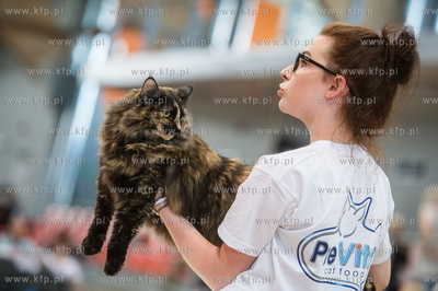 Hipodrom Sopot. Międzynarodoa Wystawa Kotow Rasowych...