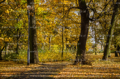 Gdańsk. Jesien w Parku Steffensa.
30.10.2016
fot....