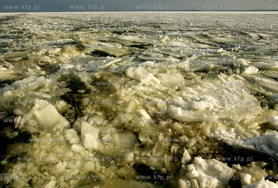 Szczecin. Wspolna akcja polskich ( Dzik, Lis, Swistak...