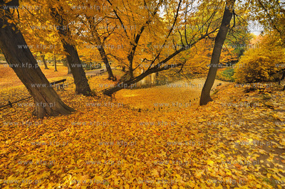 Gdansk Oliwa Park. Fragment parku z basenem parkowym.Poczatkiem...