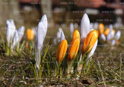 Sopot. Lazienki Poludniowe - Park im. Marii i Lecha...