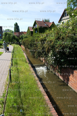 Gdansk Wrzeszcz, Park nad Strzyza.
03.07.2009
fot....
