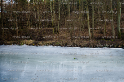 Gdansk. Oliwa, Trojmiejski Park Krajobrazowy. Sciezka...