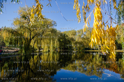 Gdansk. Jesienne, sloneczne przedpoludnie w Parku Orunskim.
27.10.2015
fot....