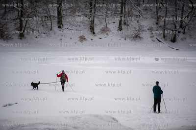 Sniezny zimowy dzien nad jeziorem Otominskim.
21.01.2016
fot....