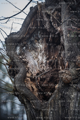 Gdańsk. Znajdująca się w ciągu Alei Zwyciestwa,...