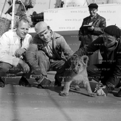 Załadunek w porcie gdyńskim na pokład PLO Żeromski...