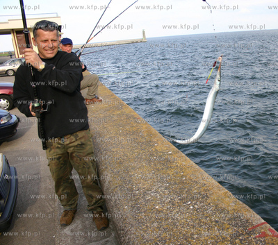 Dziesiatki wedkarzy spotkac mozna od kilku dni na falochronie...
