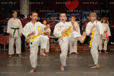 Gdynia, Centrum Gemini. XVII Final WOSP. Nz. pokazy...