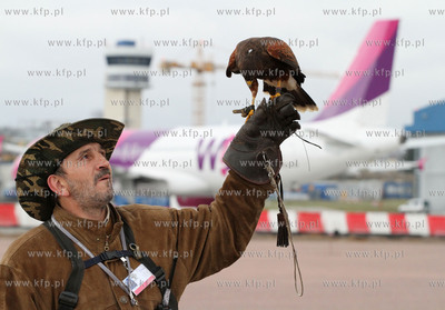 Sokolnik ze skrzydlatymi przyjaciolmi, nowymi pracownikami...