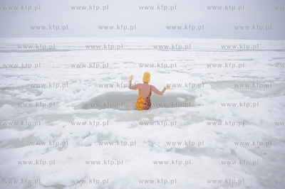 Kapiel gdanskich morsow na skutej lodem plazy w Jelitkowie....