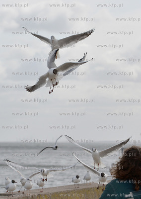 Gdynia - Bulwar Nadmorski im. Feliksa Nowowiejskiego....