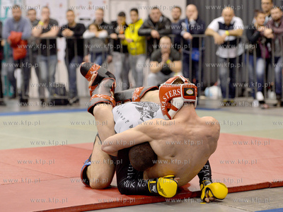 Fit Festival 2016 odbu\yl się w dnia 27-28 lutego...