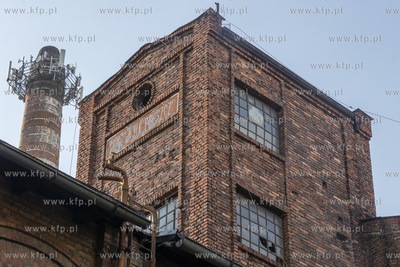 Botaniczny Pruszcz. Spacer badawczy śladem roślin...