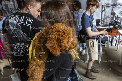 "Cukroteka na 4 łapy" w Pruszczu Gdańskim.
26.08.2023
fot....