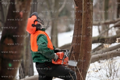 Wycinka drzew pod budowe trasy Pomorskiejpomorks Kolei...