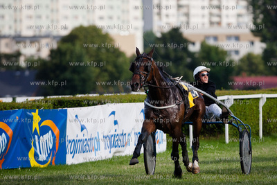 Wyscigi konne na sopockim hipodromie.
Nz wyscig klusakow
14.07.2013
fot....