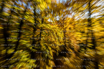 Gdansk. Jesienne, sloneczne przedpoludnie w Parku Orunskim.
27.10.2015
fot....