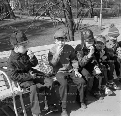 Chlopcy jedza jablka w przerwie spaceru po parku w...