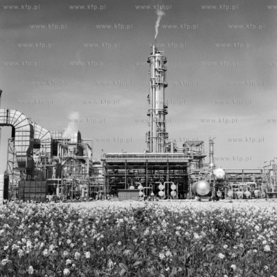 Rafineria Gdanska. 
04.06.1976
1czerwiec76_z.kosycarz_p2
Fot....