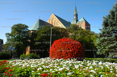 Kolobrzeg. Bazylika Mariacka. 2010
fot. Karol Skiba...