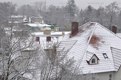 Zima w Koszalinie 29.11.2010. fot. Jaroslaw Ryfun /...
