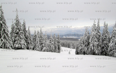 Korbielo. Osrodek Narciarski Pilsko. 11.01.2013 fot....
